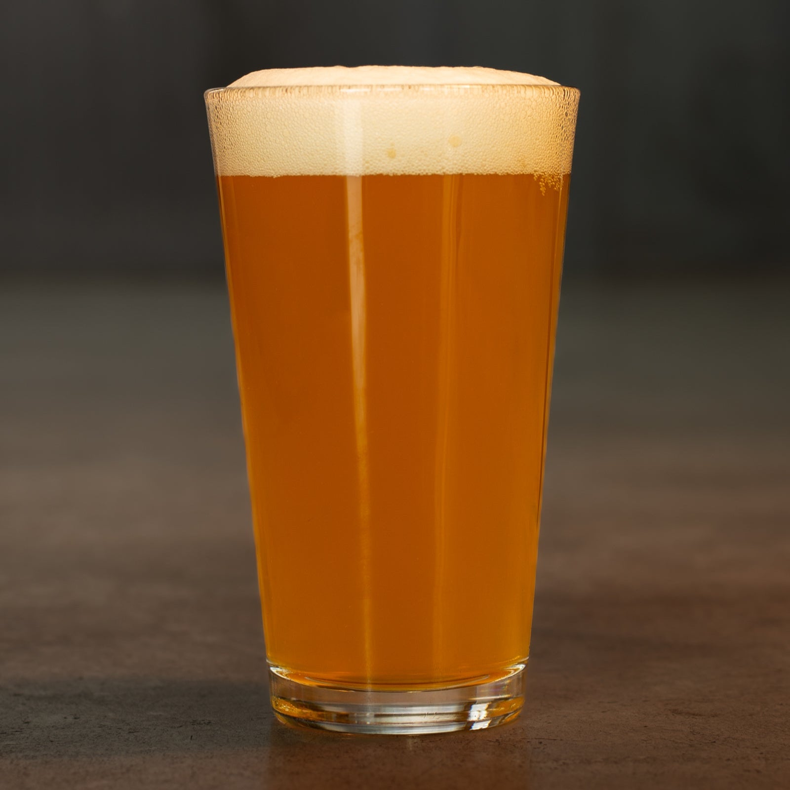 Pint of Bodhizafa IPA by Georgetown Brewing on the industrial brewery floor