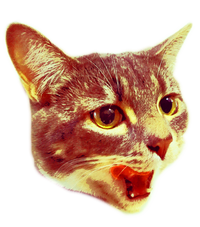 Blog empty image