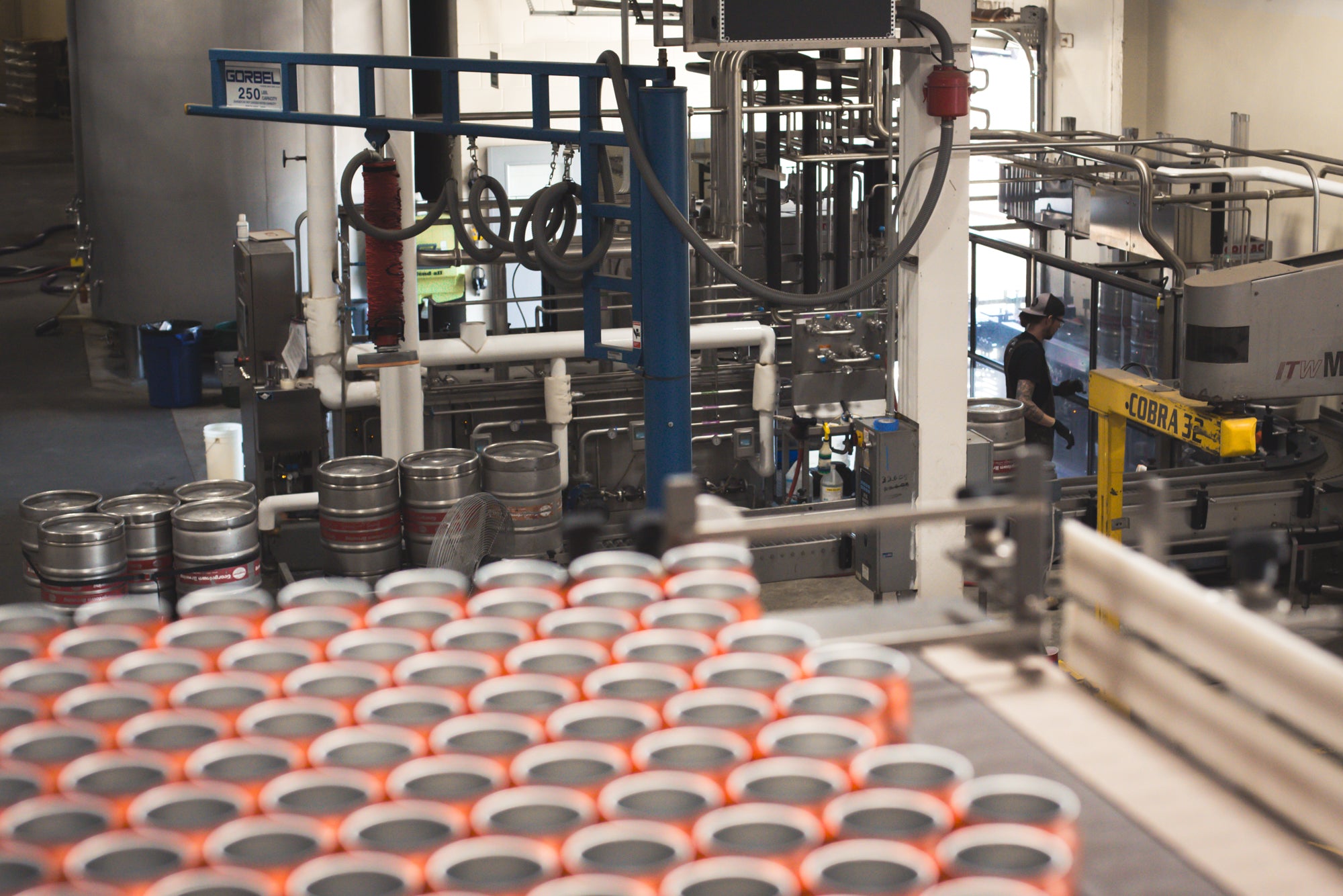 a brewery employee works on the canning line