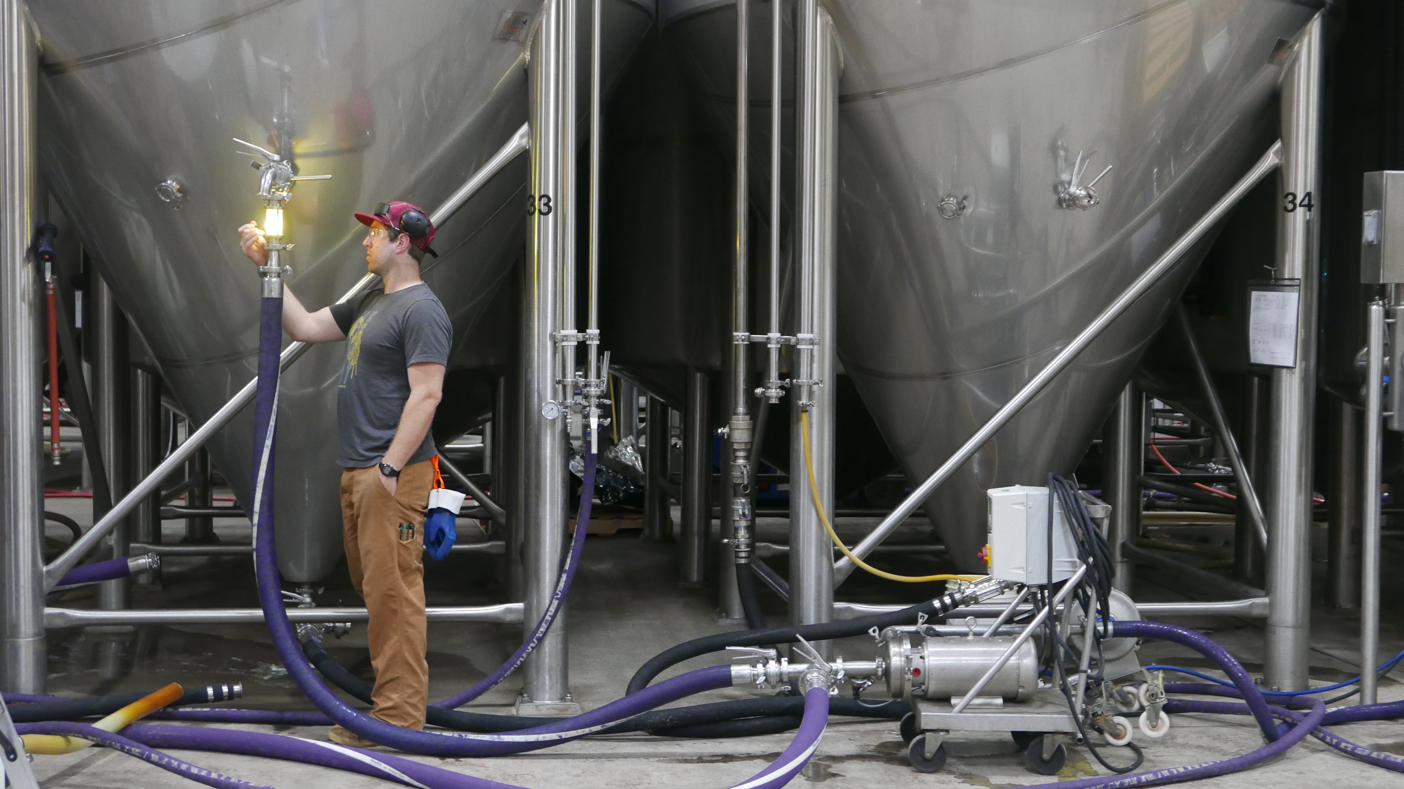A male brewer looks at a sightglass on a hose attached to a tank. 