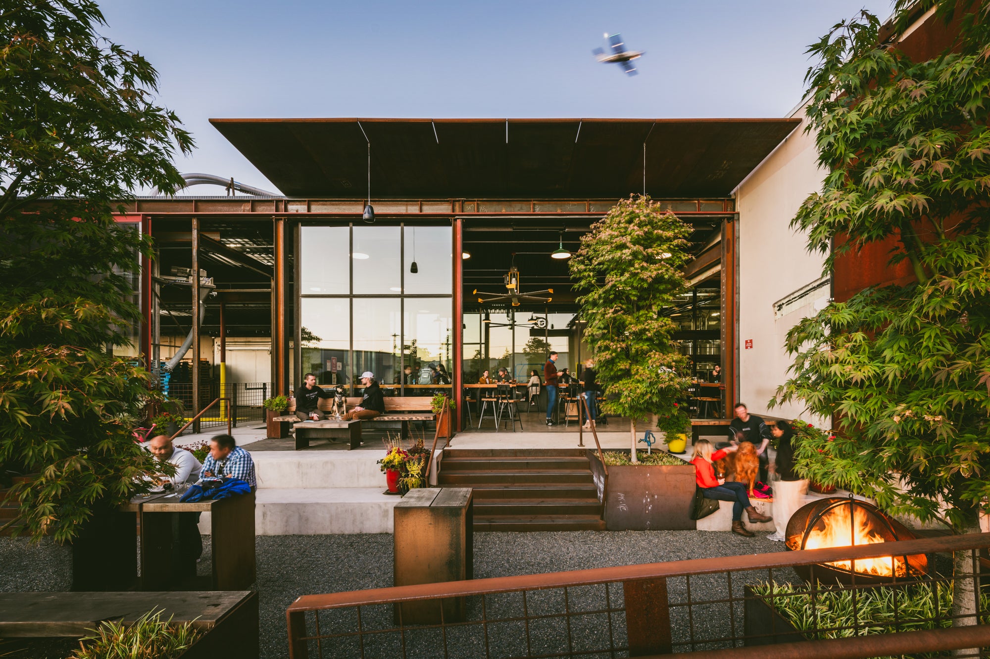 the beer garden at georgetown brewing with fire pits alight and customers drinking with their dogs